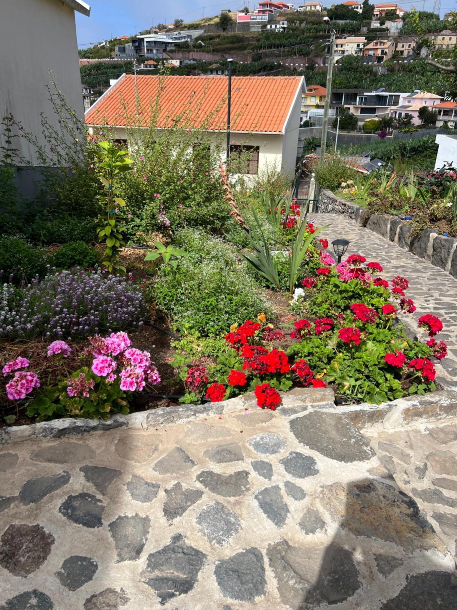 Willa Casa Do Avo Ponta do Sol  Zewnętrze zdjęcie